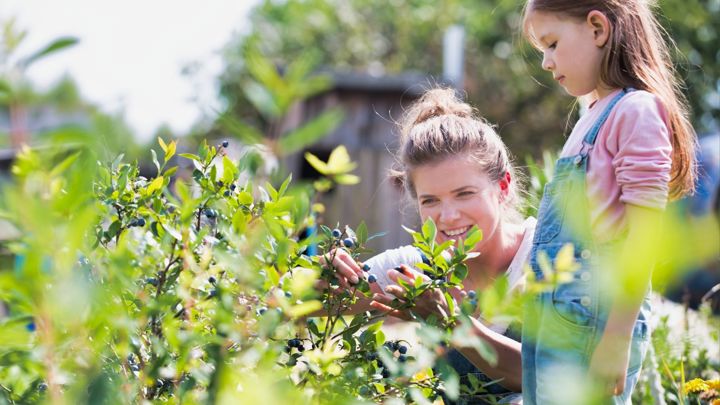  Stung by a bee? How to know if you’re allergic